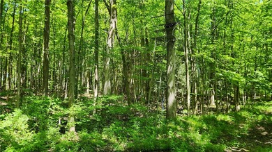 An absolute piece of heaven on earth. This 14.5 acre parcel has - photo 36