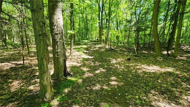 An absolute piece of heaven on earth. This 14.5 acre parcel has - photo 37
