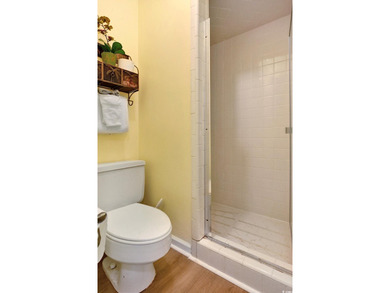 Ocean View Paradise Awaits! SHORT TERM RENTAL ALLOWED! Welcome - photo 37