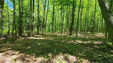 An absolute piece of heaven on earth. This 14.5 acre parcel has - photo 38
