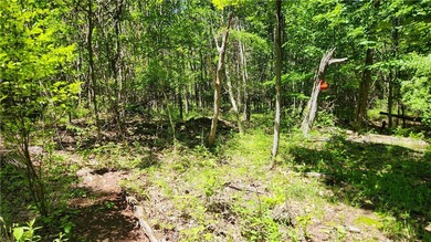An absolute piece of heaven on earth. This 14.5 acre parcel has - photo 40