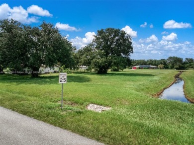 Lake Lot For Sale in Sebring, Florida