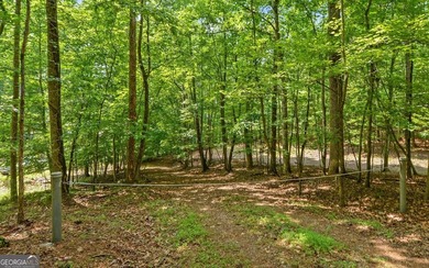 A Rare Lake Lanier Retreat on 4.24 Private Acres in a Deepwater - photo 11