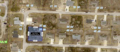 Lake Lot For Sale in Reeds Spring, Missouri
