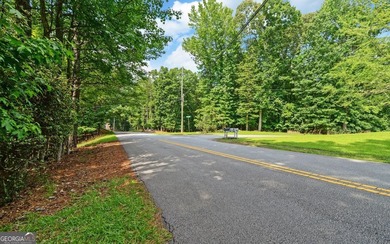A Rare Lake Lanier Retreat on 4.24 Private Acres in a Deepwater - photo 12