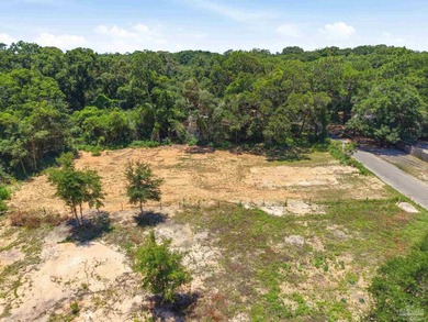 Cleared and ready to build, this nearly 1-acre lot offers - photo 16
