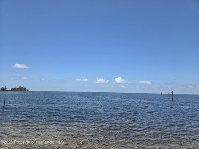 Cash buyers, take a look at this one!! MOVE IN READY!! High and - photo 21