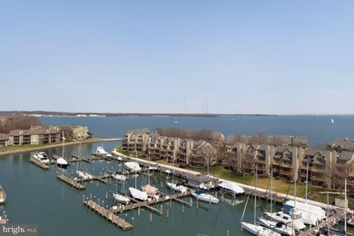 Set elegantly along the marina within the prestigious Chesapeake - photo 2