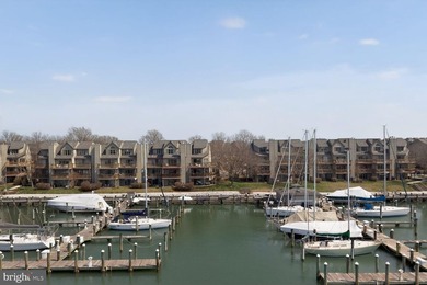 Set elegantly along the marina within the prestigious Chesapeake - photo 3