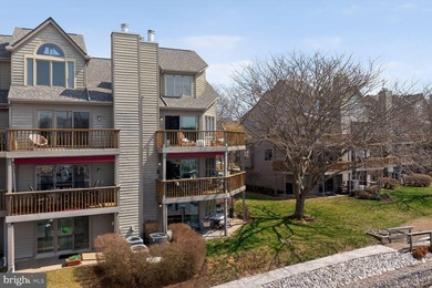 Set elegantly along the marina within the prestigious Chesapeake - photo 6