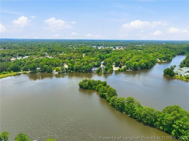Welcome to this beautifully updated waterfront home on McFayden - photo 39