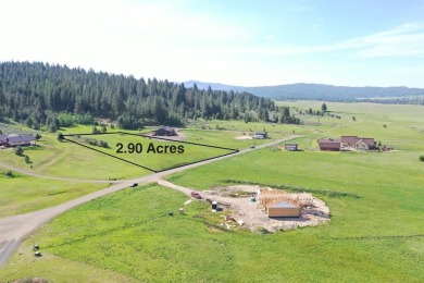Lake Acreage For Sale in Donnelly, Idaho