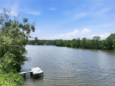 Welcome to this beautifully updated waterfront home on McFayden - photo 42