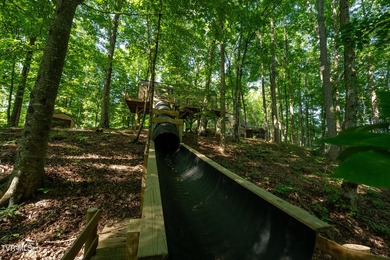 Welcome to a once-in-a-lifetime opportunity to own a truly - photo 52