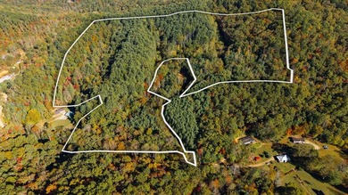 (private lake, pond, coastal) Acreage For Sale in Franklin North Carolina