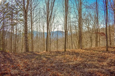 Fontana Lake Lot For Sale in Bryson City North Carolina