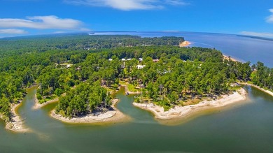 Welcome to your private lakeside retreat on the shores of Lake - photo 20