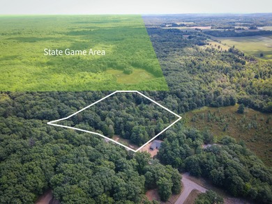 Lake Michigan - Oceana County Acreage For Sale in Mears Michigan