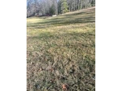 (private lake, pond, coastal) Acreage For Sale in Bryson City North Carolina