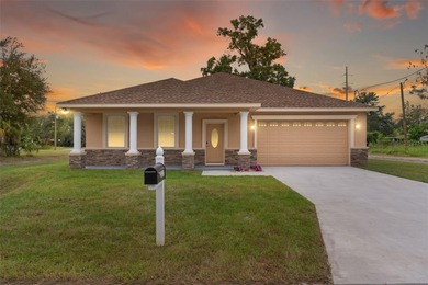 (private lake, pond, creek) Home For Sale in Plant City Florida