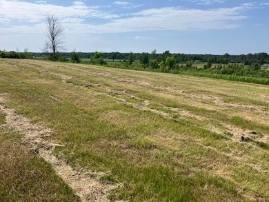 Door County acreage lot with a nature preserve and buildable - photo 4