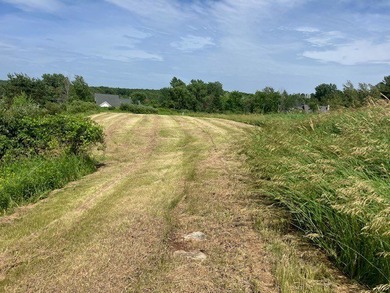 Door County acreage lot with a nature preserve and buildable - photo 5