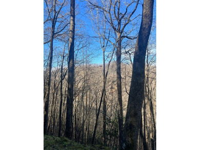 Lake Nantahala Lot For Sale in Topton North Carolina