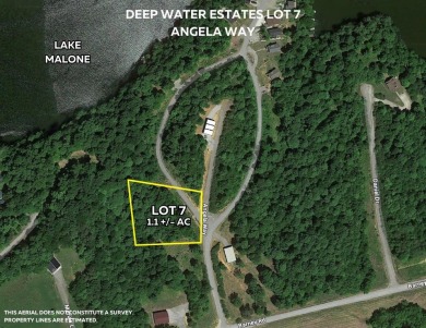 Lake Malone Lot For Sale in Lewisburg Kentucky