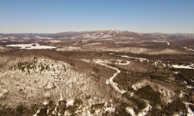 Lake Lot For Sale in Mont-Tremblant, 