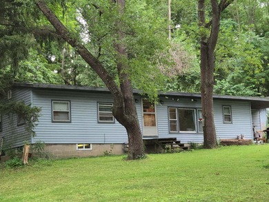 Little Twin Lake - Cass County Home For Sale in Dowagiac Michigan