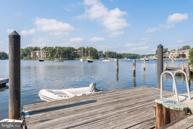 This exceptional Historic District home combines the charm of a - photo 8