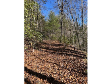 5.53 UNRESTRICTED mountain land. This property is nestled in the - photo 2