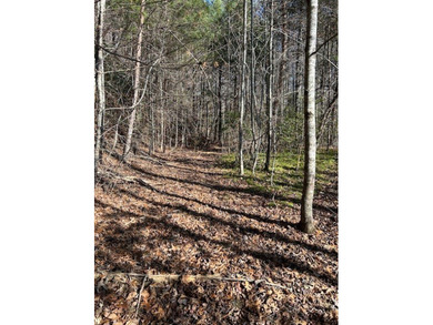 5.53 UNRESTRICTED mountain land. This property is nestled in the - photo 3