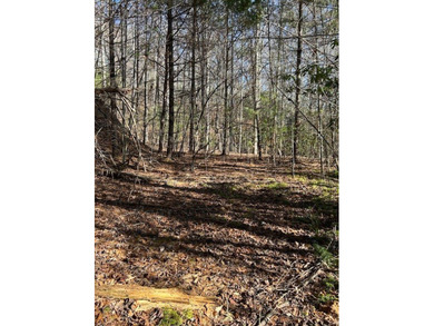 5.53 UNRESTRICTED mountain land. This property is nestled in the - photo 4