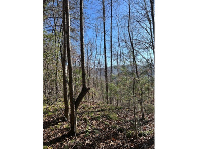 5.53 UNRESTRICTED mountain land. This property is nestled in the - photo 5