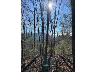 5.53 UNRESTRICTED mountain land. This property is nestled in the - photo 6