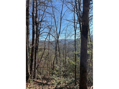 5.53 UNRESTRICTED mountain land. This property is nestled in the - photo 7