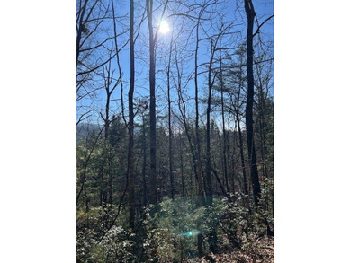 5.53 UNRESTRICTED mountain land. This property is nestled in the - photo 8