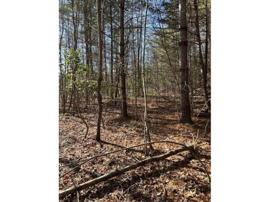 5.53 UNRESTRICTED mountain land. This property is nestled in the - photo 10