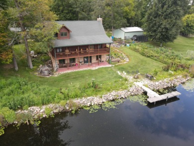 Lake Home For Sale in Montgomery, Michigan