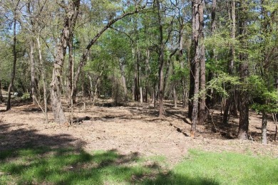 Lake Lot For Sale in Grapeland, Texas