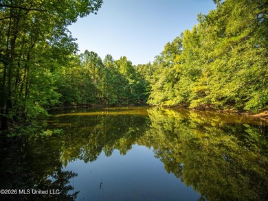 +/-288 Acres - Holmes County, MS | Prime Hunting & Timber Tract - photo 1