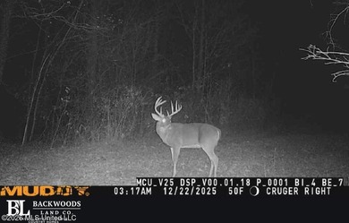 +/-288 Acres - Holmes County, MS | Prime Hunting & Timber Tract - photo 2