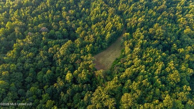 +/-288 Acres - Holmes County, MS | Prime Hunting & Timber Tract - photo 5