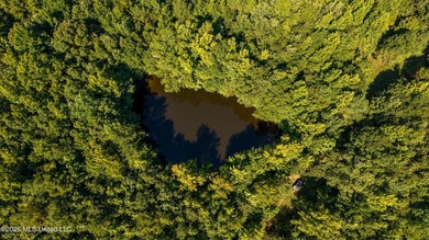 +/-288 Acres - Holmes County, MS | Prime Hunting & Timber Tract - photo 6