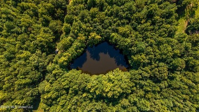 +/-288 Acres - Holmes County, MS | Prime Hunting & Timber Tract - photo 7
