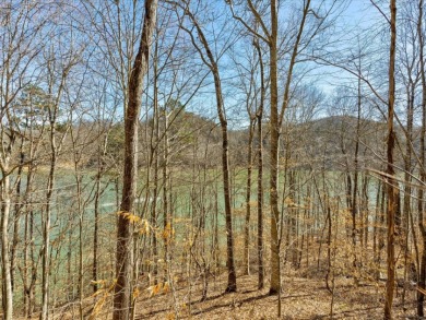 Norris Lake Front Lot For Sale - Lake Lot For Sale in New Tazewell, Tennessee