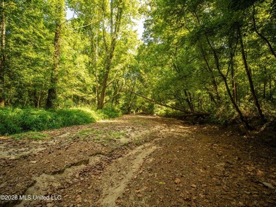 +/-288 Acres - Holmes County, MS | Prime Hunting & Timber Tract - photo 10