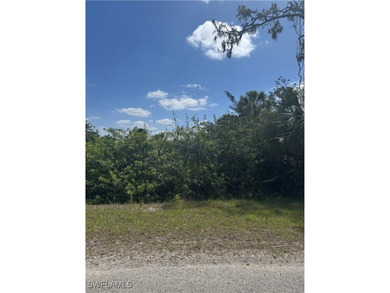 Lehigh Acres Area Lot For Sale in Lehigh Acres Florida