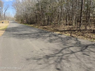 Don't miss this rare opportunity to own 2.71 picturesque acres - photo 4